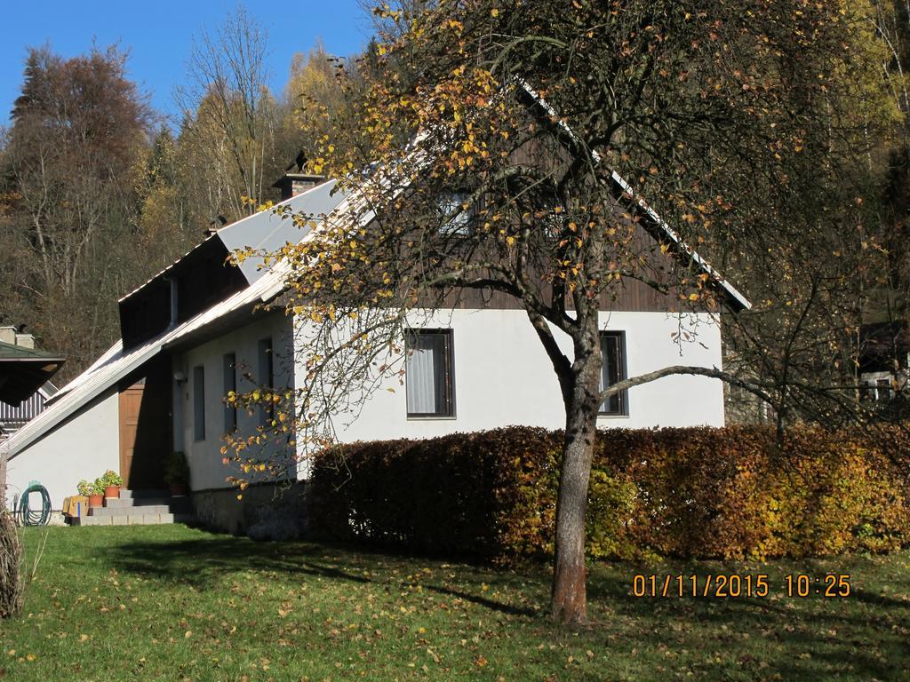 Guest House U Lakomce Desná Exteriér fotografie