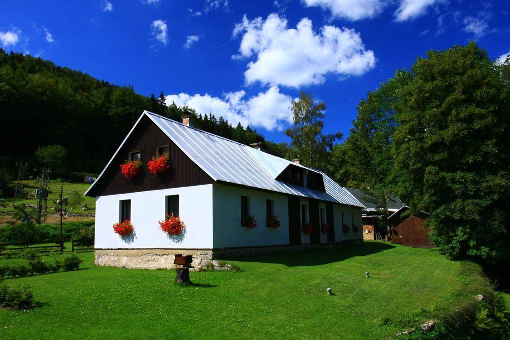 Guest House U Lakomce Desná Exteriér fotografie